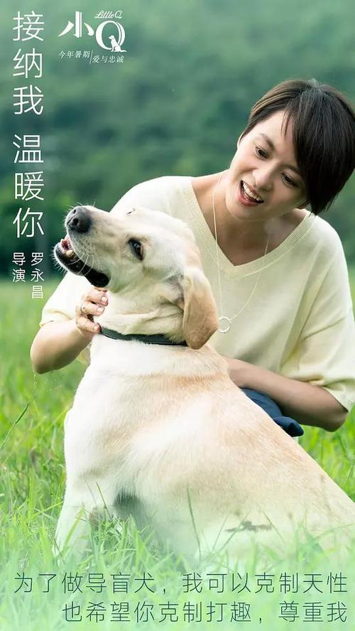 温哥华岛大学硕士offer